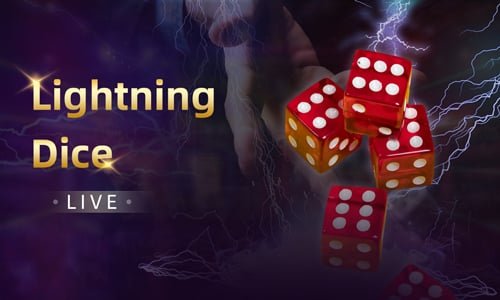 bd 11